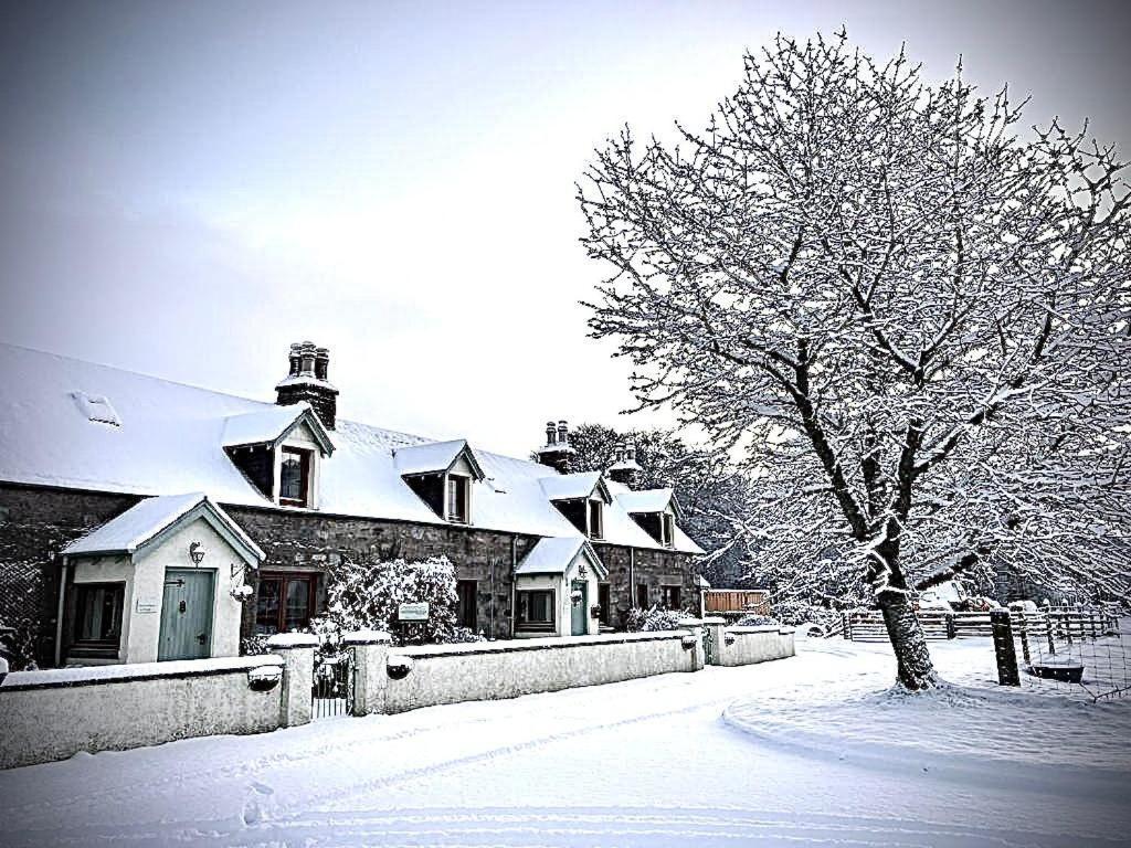 Rosemount Cottage Two - Highland Cottage Гарв Экстерьер фото